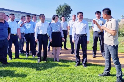 NG28-不凡成就非凡,相信品牌的力量