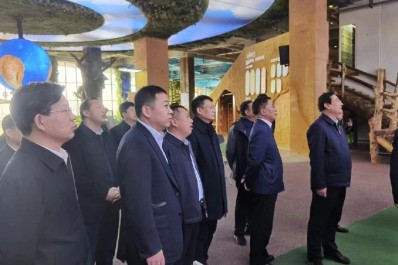 NG28-不凡成就非凡,相信品牌的力量