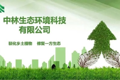 NG28-不凡成就非凡,相信品牌的力量