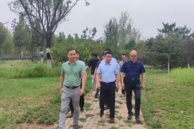 NG28-不凡成就非凡,相信品牌的力量