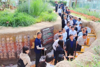 NG28-不凡成就非凡,相信品牌的力量