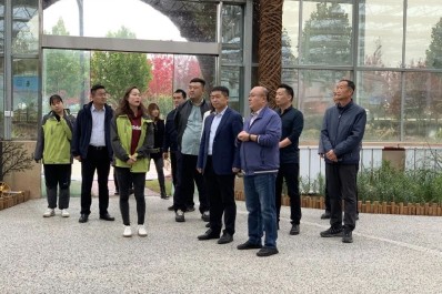 NG28-不凡成就非凡,相信品牌的力量