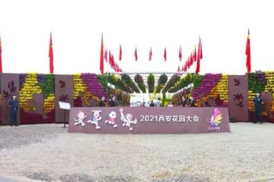 NG28-不凡成就非凡,相信品牌的力量