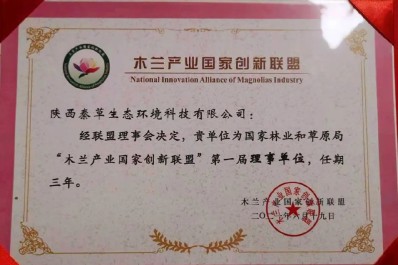 NG28-不凡成就非凡,相信品牌的力量