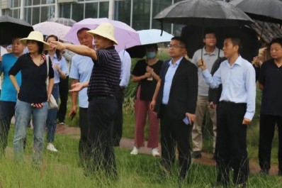 NG28-不凡成就非凡,相信品牌的力量