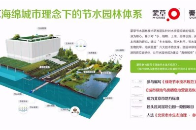 NG28-不凡成就非凡,相信品牌的力量