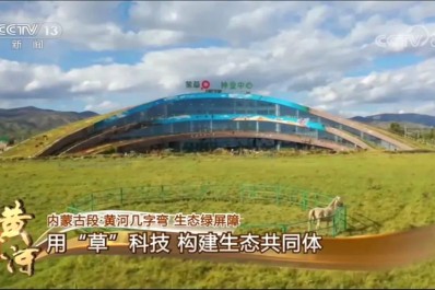 NG28-不凡成就非凡,相信品牌的力量