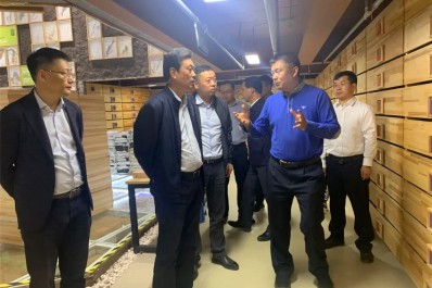 NG28-不凡成就非凡,相信品牌的力量