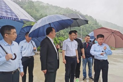 NG28-不凡成就非凡,相信品牌的力量