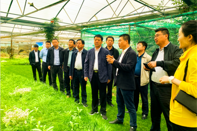 NG28-不凡成就非凡,相信品牌的力量
