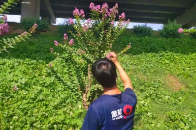NG28-不凡成就非凡,相信品牌的力量