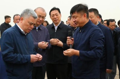 NG28-不凡成就非凡,相信品牌的力量