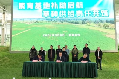 NG28-不凡成就非凡,相信品牌的力量
