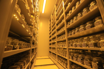 NG28-不凡成就非凡,相信品牌的力量