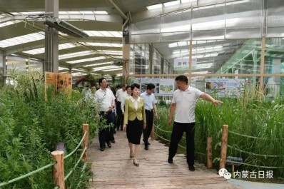 NG28-不凡成就非凡,相信品牌的力量