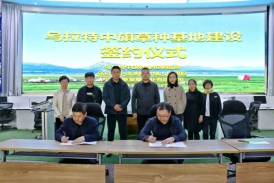 NG28-不凡成就非凡,相信品牌的力量