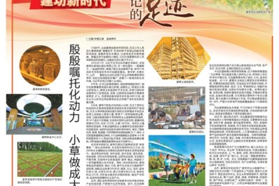 NG28-不凡成就非凡,相信品牌的力量
