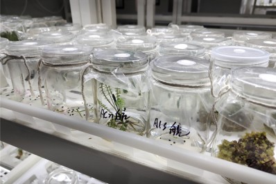 NG28-不凡成就非凡,相信品牌的力量
