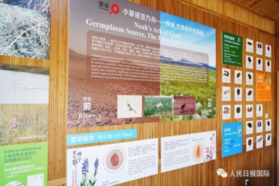 NG28-不凡成就非凡,相信品牌的力量