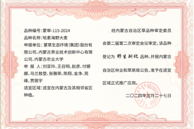 NG28-不凡成就非凡,相信品牌的力量