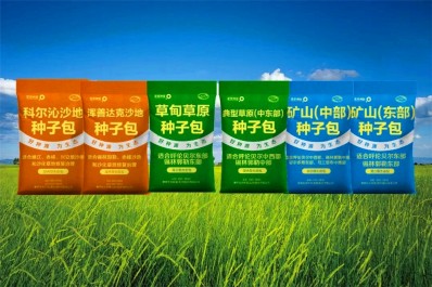 NG28-不凡成就非凡,相信品牌的力量