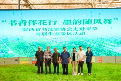 NG28-不凡成就非凡,相信品牌的力量
