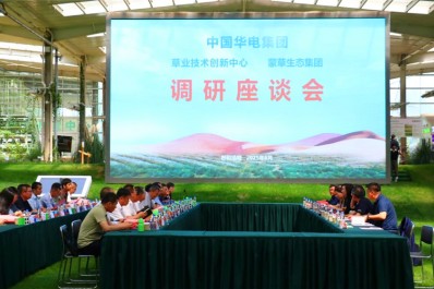 NG28-不凡成就非凡,相信品牌的力量