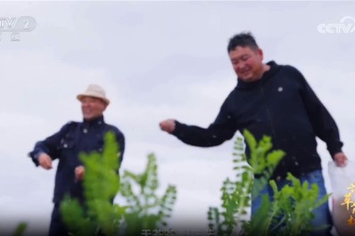 NG28-不凡成就非凡,相信品牌的力量
