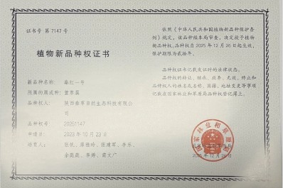 NG28-不凡成就非凡,相信品牌的力量