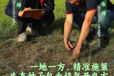NG28-不凡成就非凡,相信品牌的力量