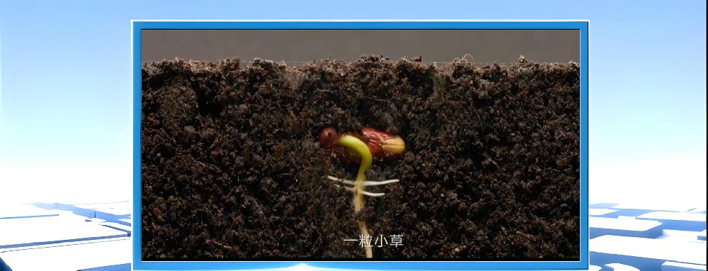 NG28-不凡成就非凡,相信品牌的力量