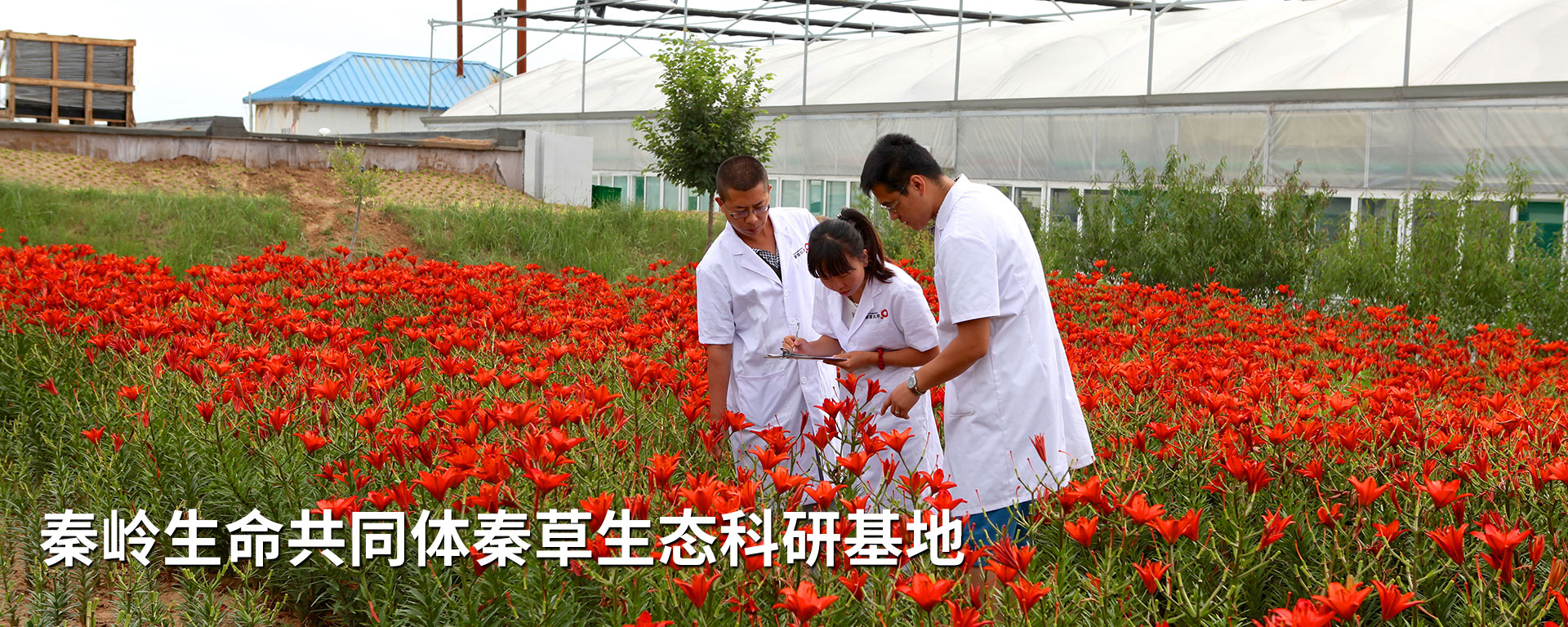NG28-不凡成就非凡,相信品牌的力量